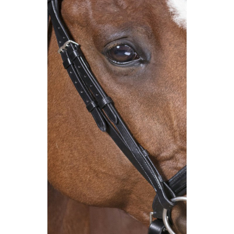 Norton Pro Strass Bridle