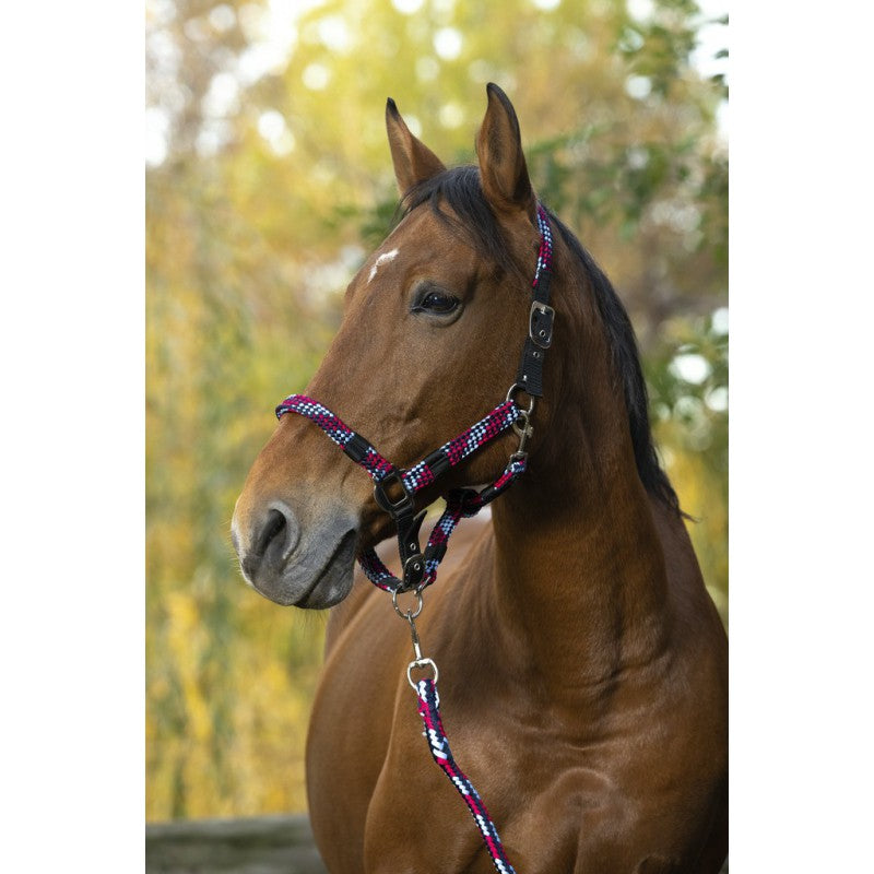 Norton Tressé Headcollar + Lead Rope