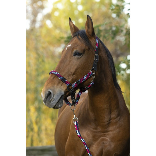 Norton Tressé Headcollar + Lead Rope