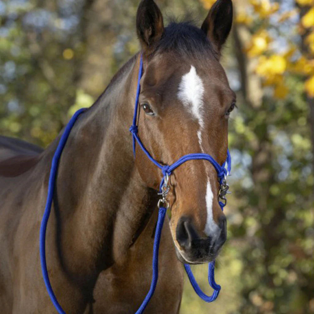 Norton Ethological Headcollar with Reins