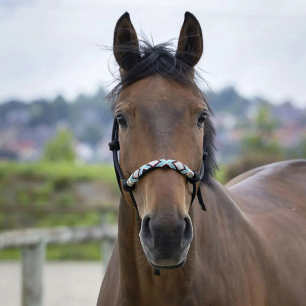 Norton - Pearl” Ethological Headcollar