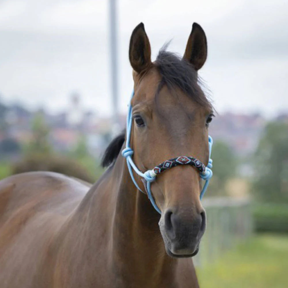 Norton - Pearl” Ethological Headcollar