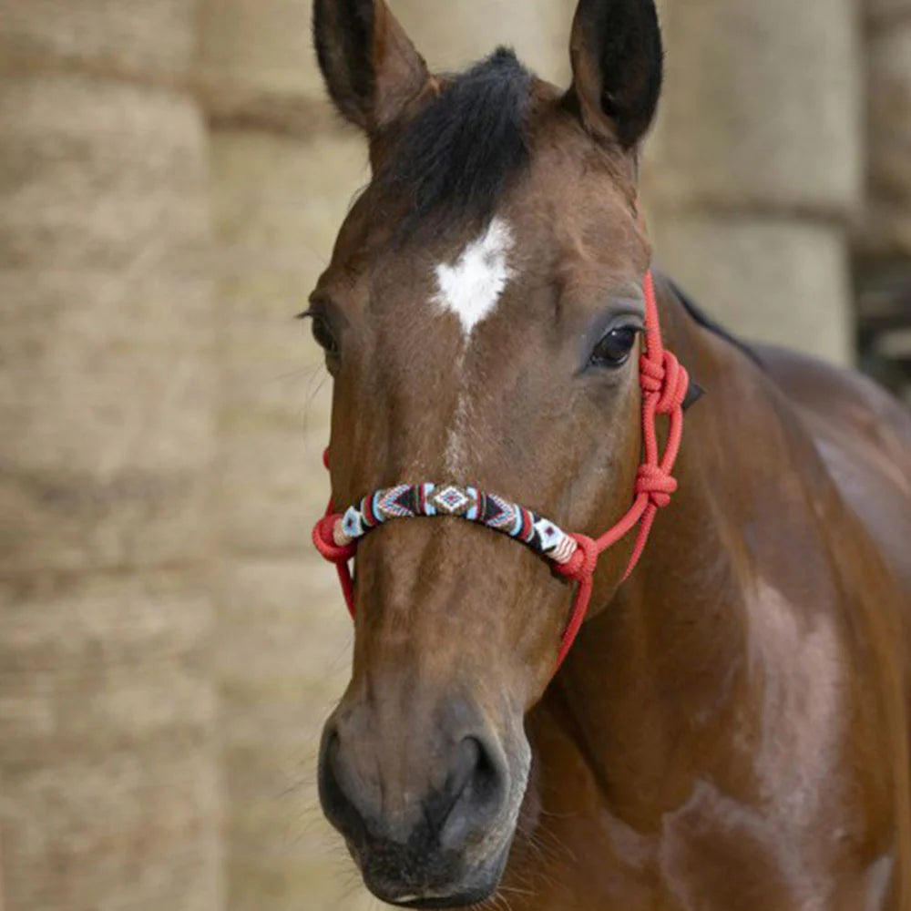 Norton - Pearl” Ethological Headcollar