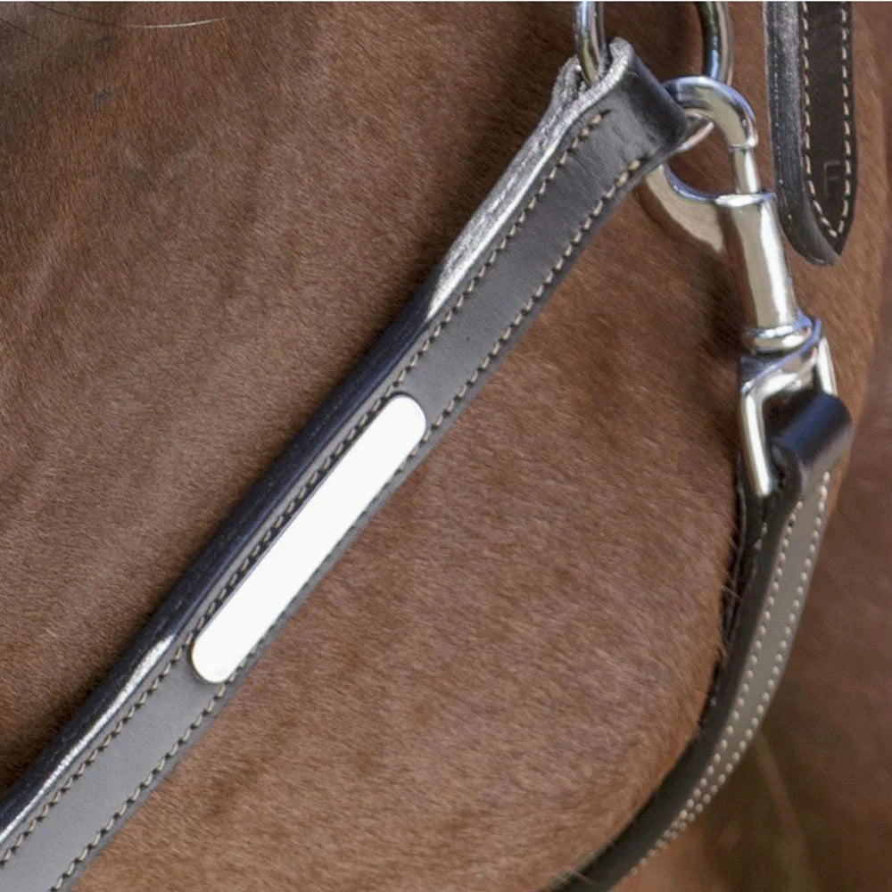 Norton Pro Grooming Leather Headcollar