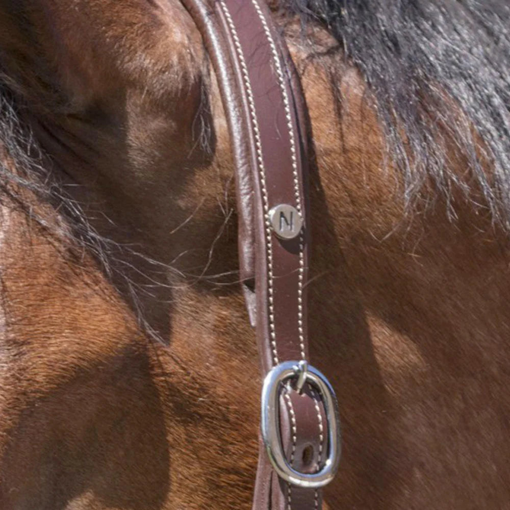 Norton Pro Grooming Leather Headcollar