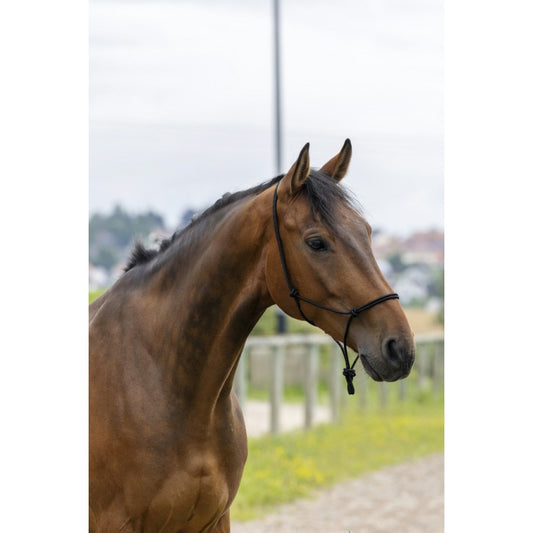 Riding World Fine Ethological Headcollar