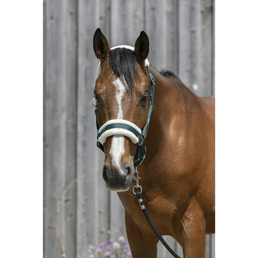 Riding World Headcollar, Synthetic Sheepskin