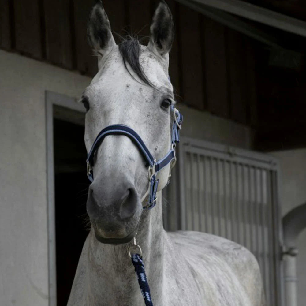 Equitheme Satiné Headcollar + Lead Rope