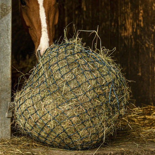 HIPPOTONIC Zari Hay Net