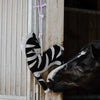 HIPPOTONIC - Zèbre - Toy for Horses